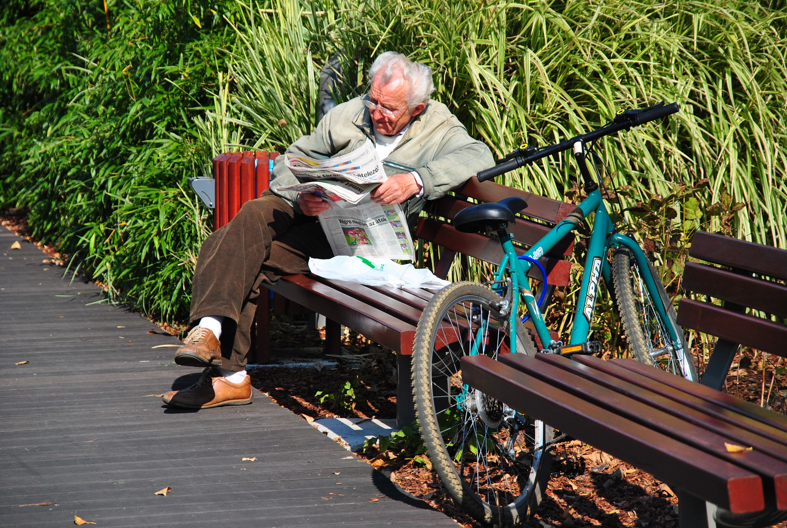 Lapszemle a parkban