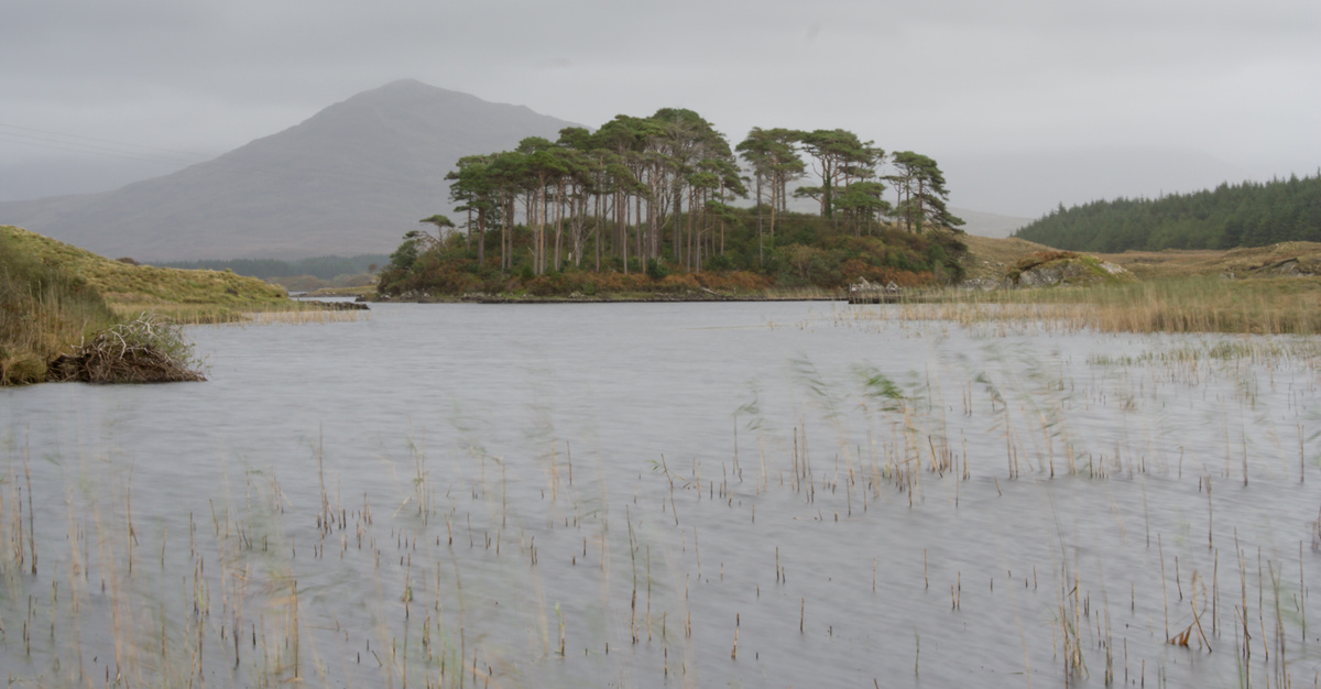 3.nap( MG 4305-1)Connemara