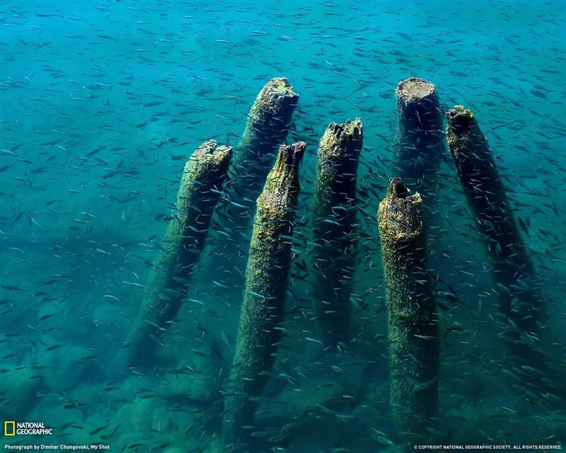 lake-ohrid-dock-xl (Medium)