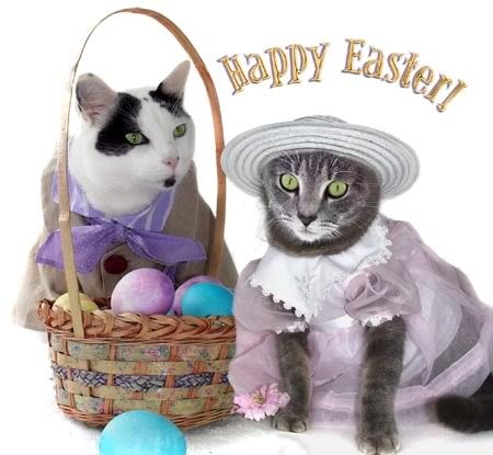 eastercats