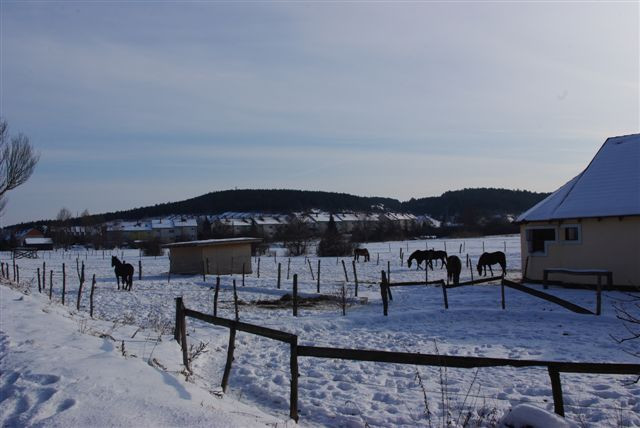 Litér téli tájai 050