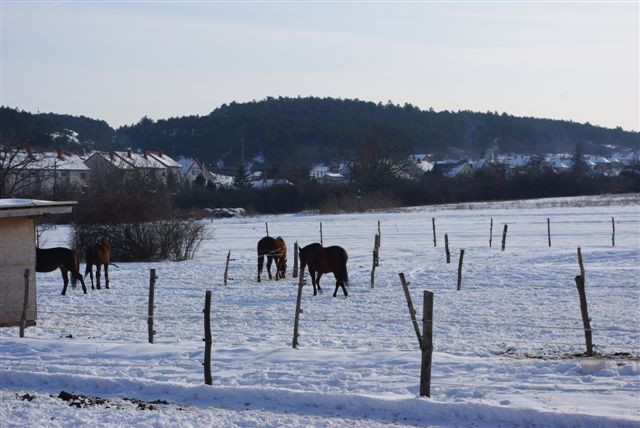 Litér téli tájai 051