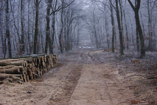 2010.12.27 Téli tájak 008