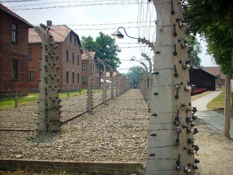 Auschwitz17