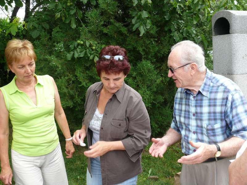 anknet-zsigmond utca800x600/anknetklub2008-jun1380655