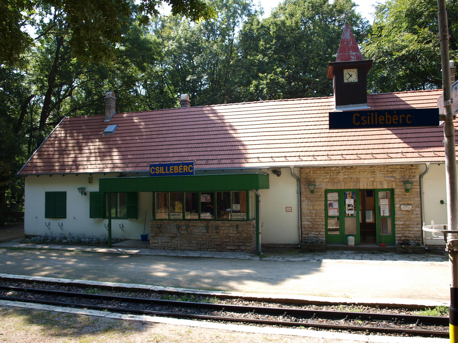 Gyermekvasút, 2010.08.01 (24)