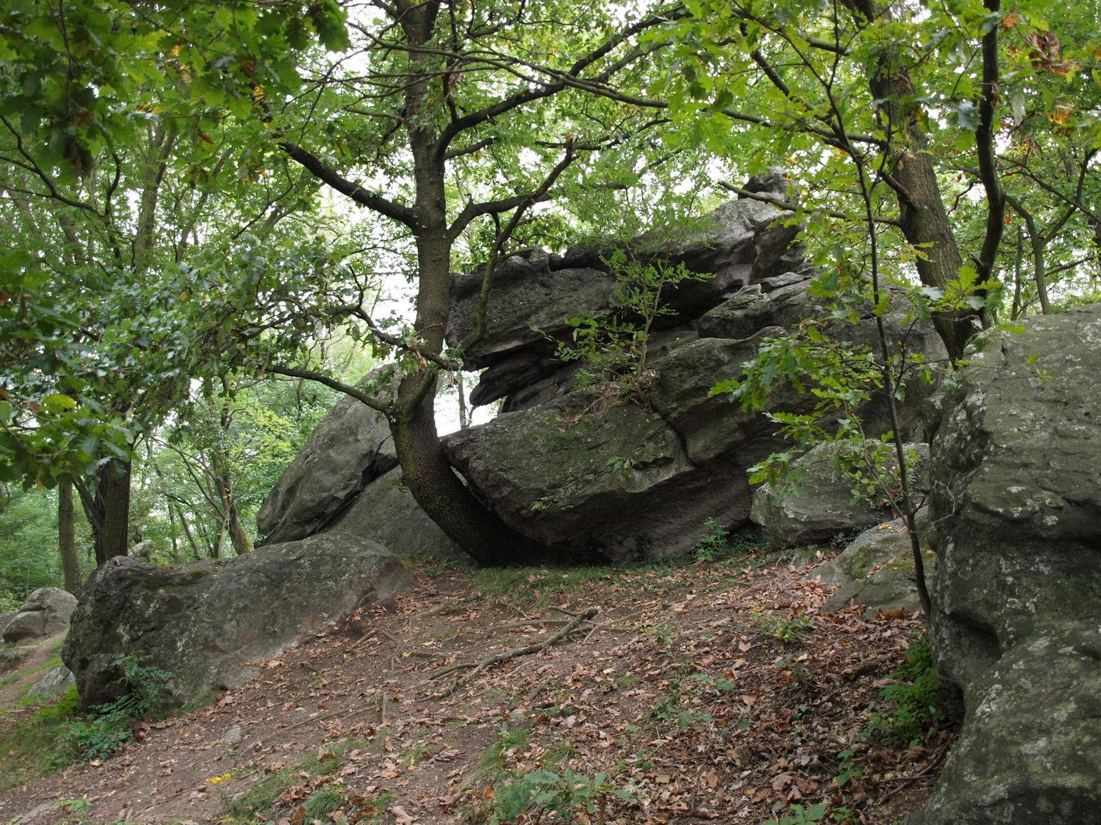 Szentbékkálla, kőtenger 02