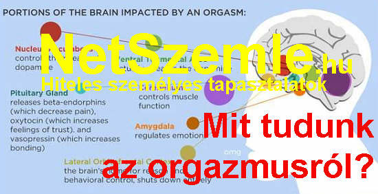 organzmus 3