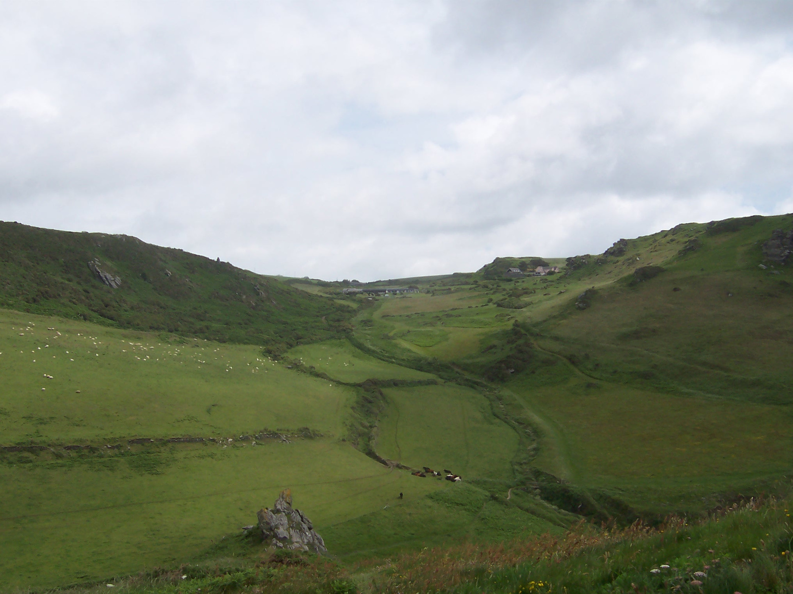 Salcombe Hills