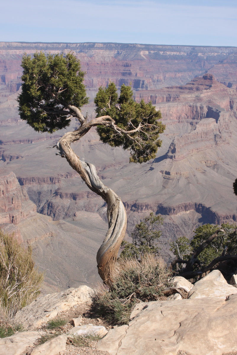 Grand Canyon2