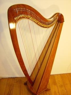 harpe 34 cordes 1