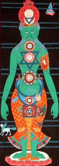 kundalini chakras in human body tq43 (Medium)