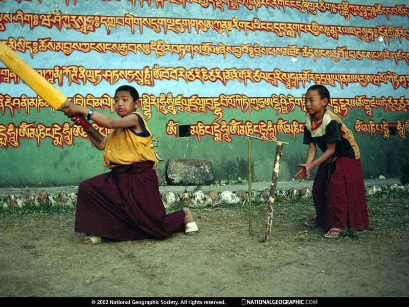 buddhist-cricket-508658-sw (Medium)