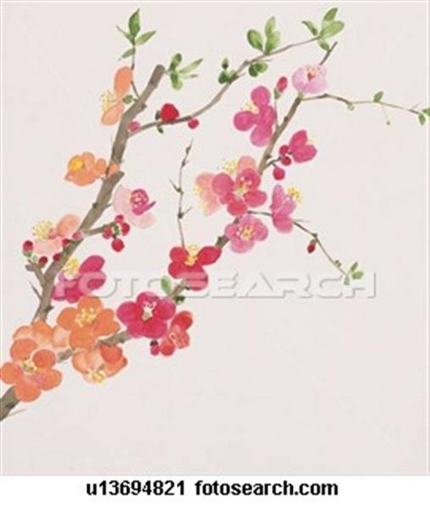 branch-japanese-quince ~u13694821 (Medium)