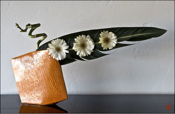 ikebana100c