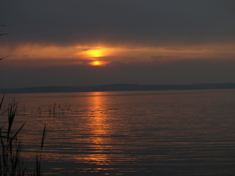 balaton2008+ 600