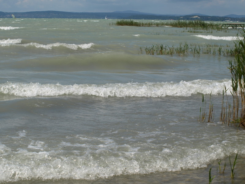 balaton2008+ 098