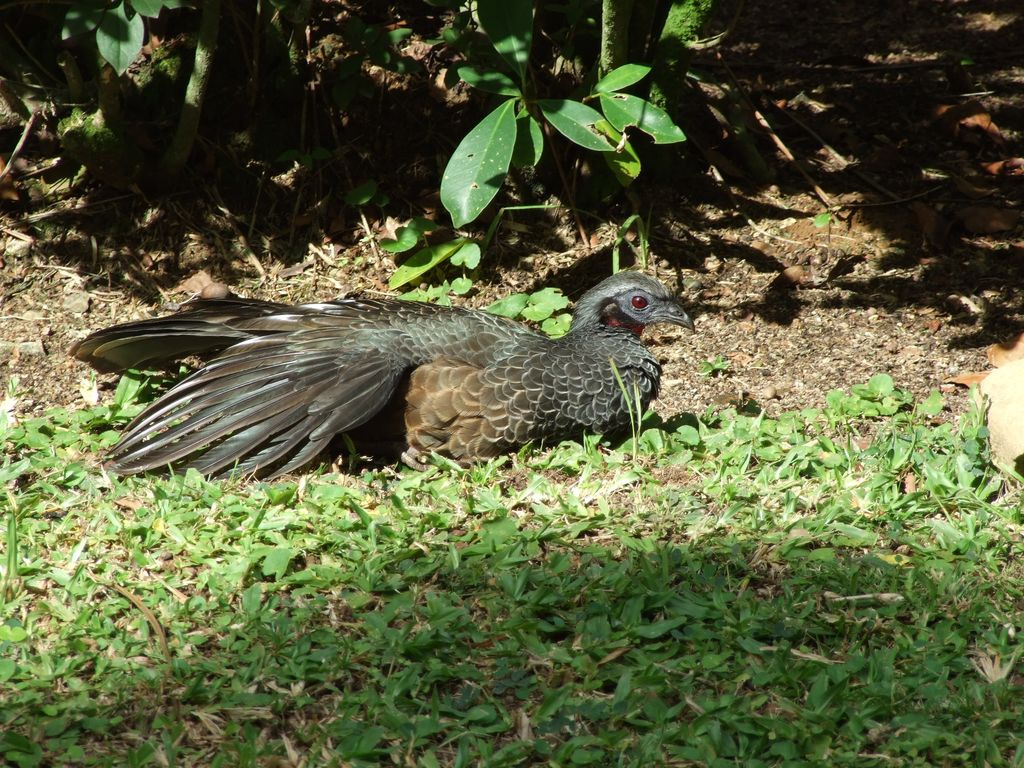 brazília 2009 258