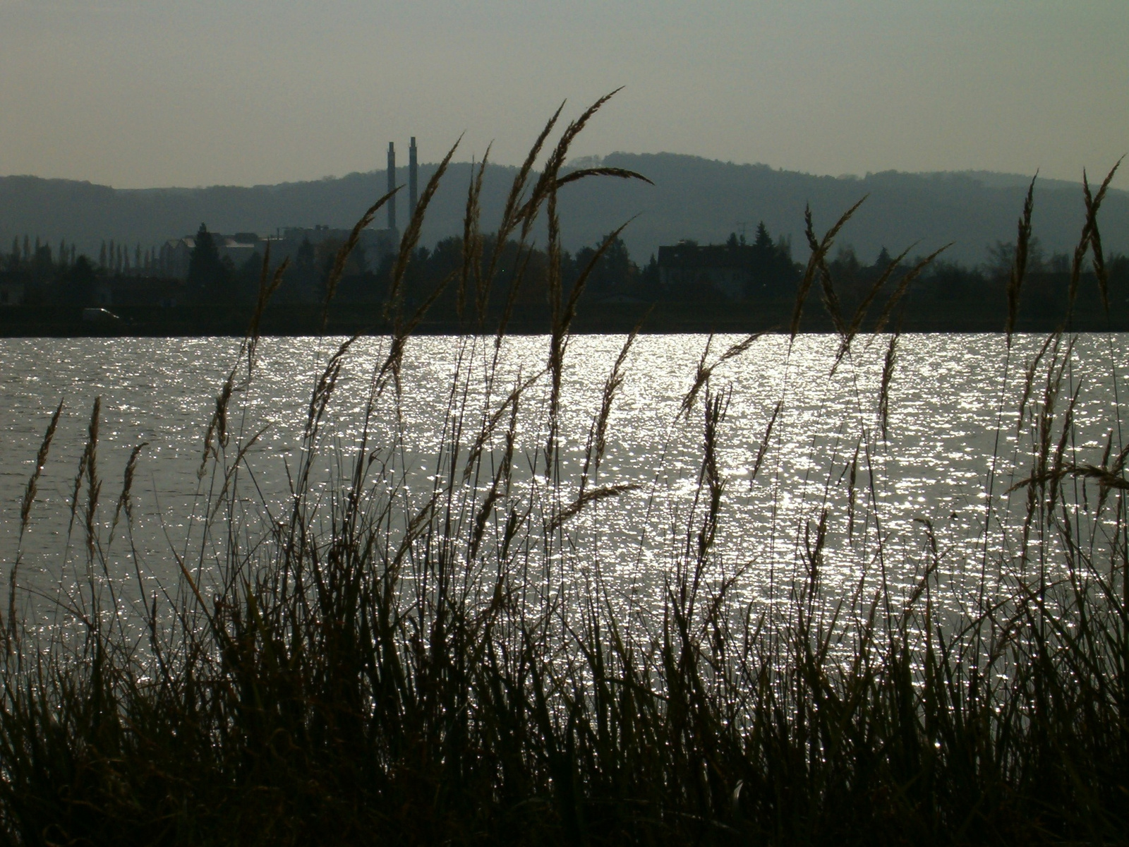 Lonely Lake