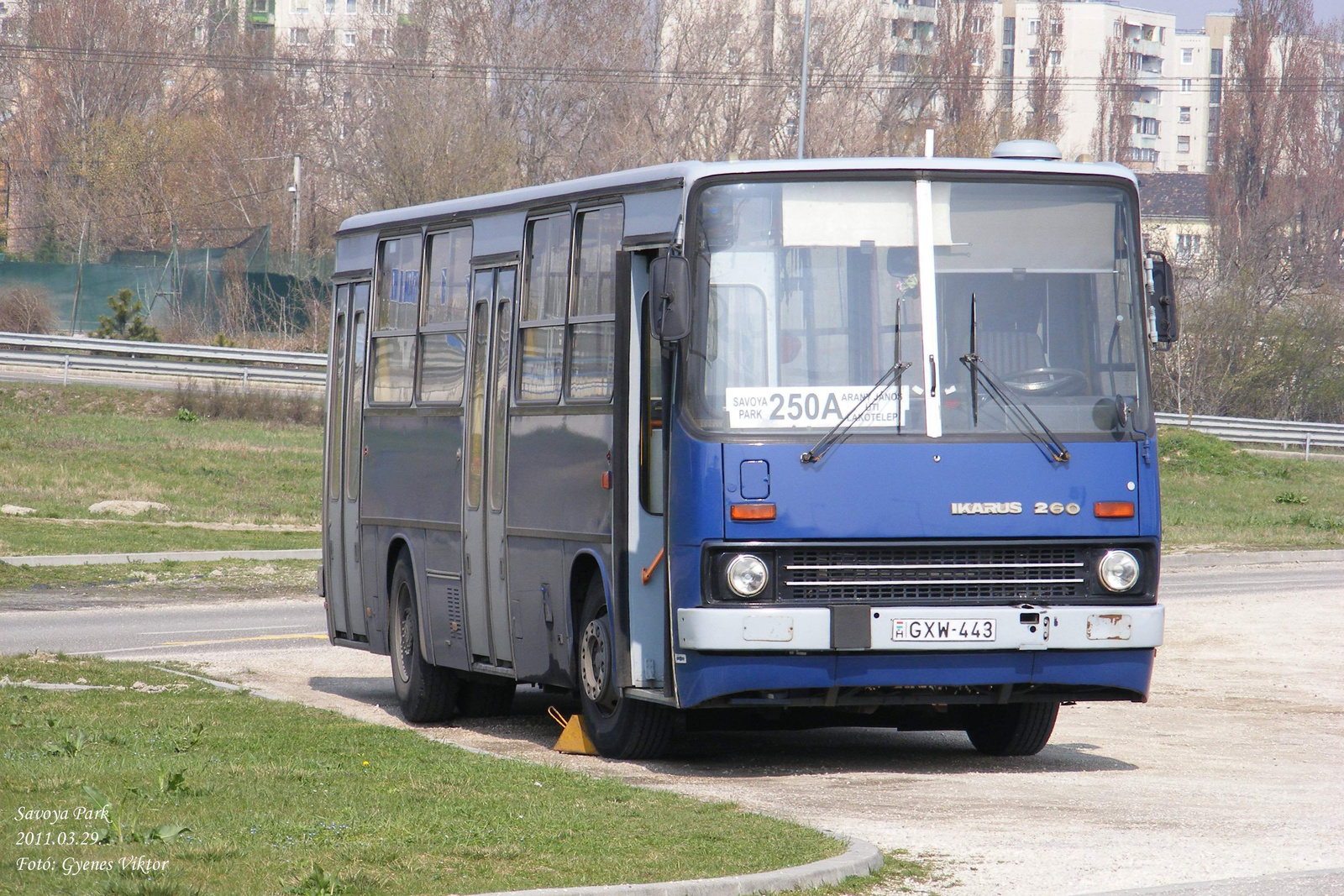 Busz GXW-443