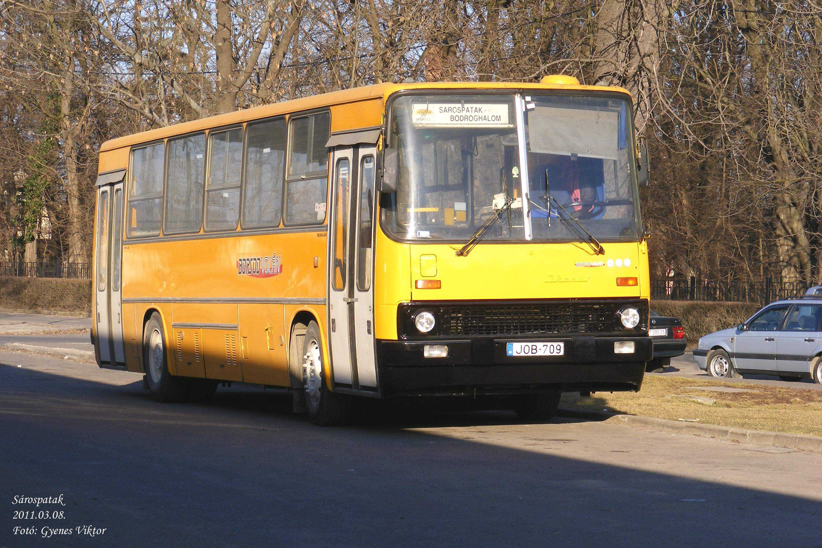 Ikarus 260-JOB-709