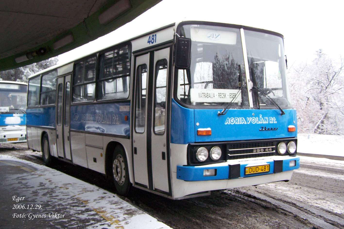 Ikarus 256-44-DUD-481