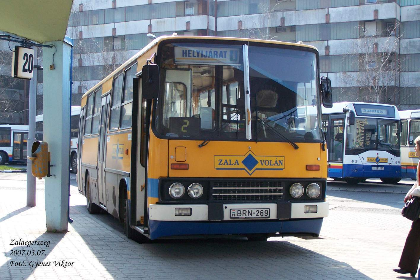 Ikarus 260-BRN-269