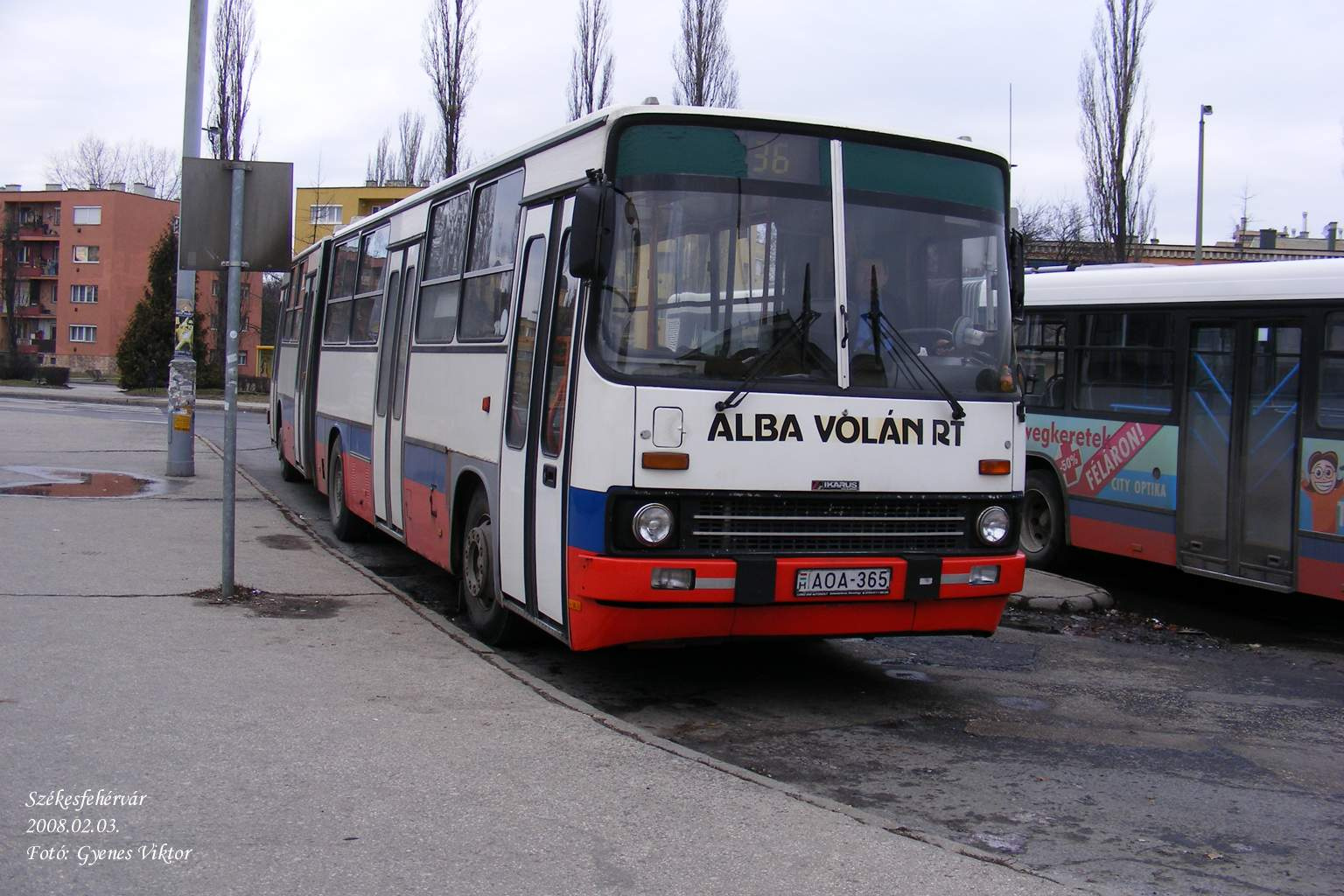 Ikarus 280-AOA-365