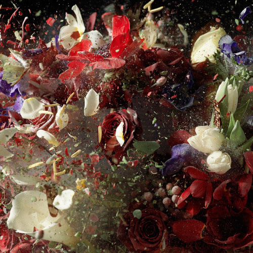 ori gersht BlowUp12