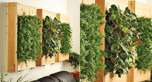 living-wall-planters