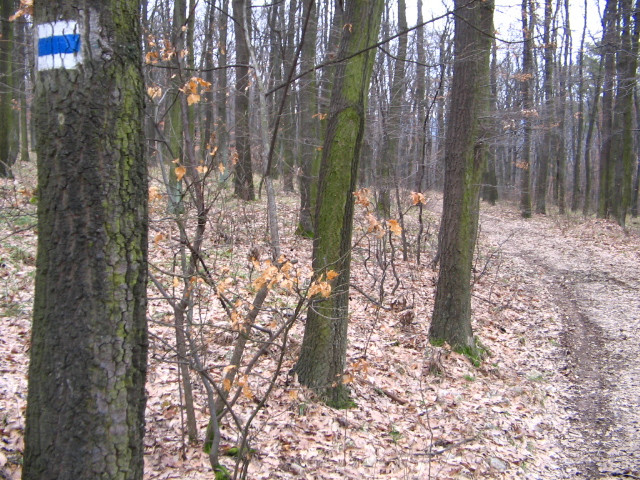 Thirring Krt.-Szentkereszt szurdok ösv. 400