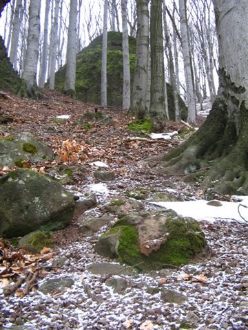 Thirring Krt.-Szentkereszt szurdok ösv. 123