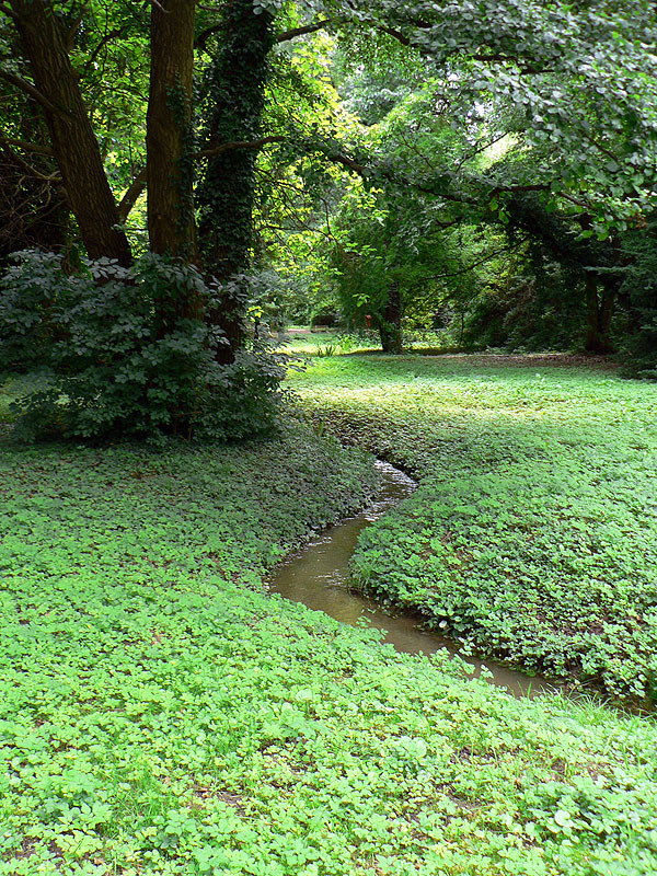 Kámoni arborétum