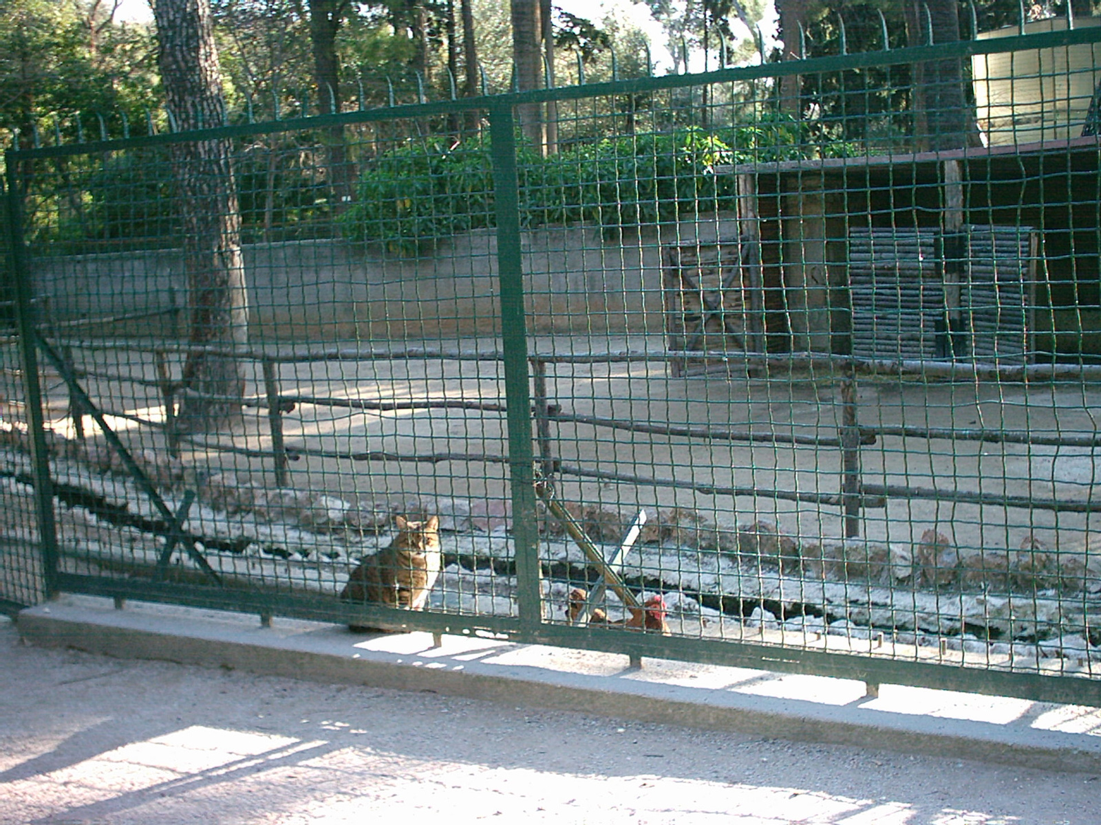 Atene gennaio 2007 (68)